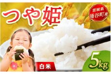 令和7年産「つや姫」5kg 白米 ※2025年12月より順次発送予定