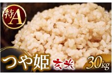令和7年産 つや姫 30kg 玄米 【2025年11月より順次発送予定】 【sato001】