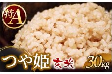 令和7年産 つや姫 30kg 玄米 【2026年1月より順次発送予定】 【sato003】