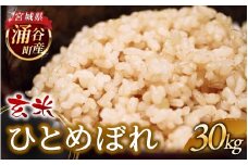 令和7年産 ひとめぼれ 30kg 玄米 【2025年12月より順次発送予定】  【sato005】
