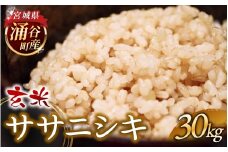 令和7年産 ササニシキ 30kg 玄米 【2025年12月より順次発送予定】  【sato007】