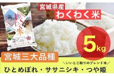 【ふるさと納税】宮城県産三大銘柄いいとこ取りブレンド米 わくわく米 5kg×1袋入 計5kg◆｜ お米 精米 白米 ひとめぼれ ササニシキ つや姫 宮城県産 三大銘柄【araseki001】