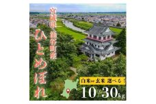 令和7年産「ひとめぼれ」20kg 白米 11月以降順次発送 【ooizumi004】