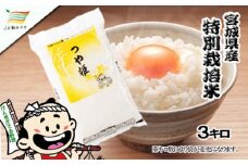元気くん市場  つや姫 3kg