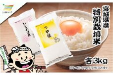 元気くん市場  宮城の美味しいお米食べ比べセット（Ｃ）