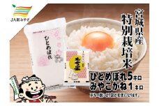 元気くん市場  宮城の美味しいお米・もち米セット