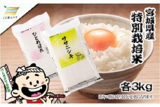 元気くん市場  宮城の美味しいお米食べ比べセット（Ａ）