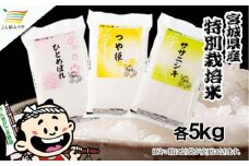 元気くん市場  宮城の美味しいお米贅沢３種食べ比べセット（１）