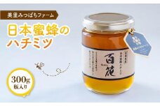 日本蜜蜂のハチミツ（300g）