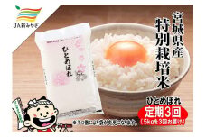 【定期便】元気くん市場ひとめぼれ　5kg×3回【3ヶ月連続でお届け】