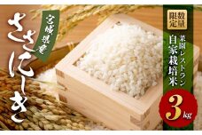 【令和6年産】数量限定 菜園レストラン「野の風」自家栽培米 ササニシキ3kg