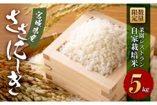 【令和6年産】数量限定 菜園レストラン「野の風」自家栽培米 ササニシキ5kg