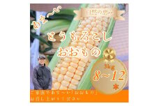 とうもろこし おおもの 約3kg(8～12本)