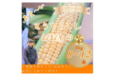 とうもろこし おおもの 約3kg(8～12本)