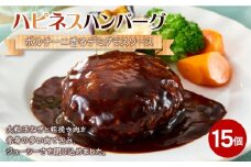 ハピネスハンバーグ　ポルチーニ香るデミグラスソース　155ｇ(固形量110ｇ)×15個