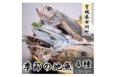 季節の地魚4種詰合せ　刺身用 宮城県産【1312827】