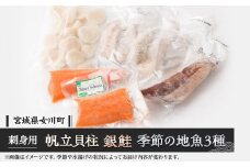 帆立貝柱生食用、女川産養殖銀鮭お刺身用と季節の地魚3種詰合せ【1312829】