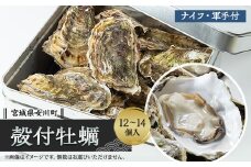潮香焼セット(殻付き牡蠣・カンカン焼き)ナイフ・軍手入り【1312854】