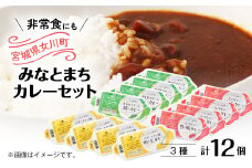 三陸産海の幸みなとまちカレー詰め合わせ【1447198】