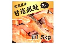 訳あり　銀鮭　宮城県産　甘塩　切身　約1.5kg　国産　/　宮城県　女川町【1525306】