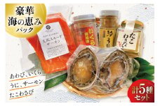 海鮮 詰め合わせ 豪華・海の恵みパック 5種×各1 [たみこの海パック 宮城県 南三陸町 30ae0024] 魚介類 アワビ 鮑 イクラ ウニ 雲丹 高級 希少 セット パック 冷凍