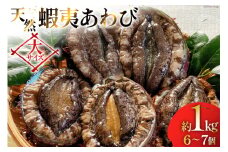 アワビ 鮑 天然蝦夷あわびパック [たみこの海パック 宮城県 南三陸町 30ae0026] 冷凍 セット 高級 豪華 海鮮 天然 パック