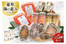 海鮮 詰め合わせ 豪華・海の恵みパック 5種×各2 [たみこの海パック 宮城県 南三陸町 30ae0027] 魚介類 アワビ 鮑 イクラ ウニ 雲丹 高級 希少 セット パック 冷凍
