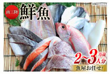 鮮魚 詰め合わせ 魚屋お任せ！南三陸お楽しみ鮮魚 セット 2～3人分 [さかなのみうら 宮城県 南三陸町 30aj0001] 魚 タコ 牡蠣 ほや ホタテ 塩辛 佃煮 切り身