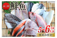 鮮魚 詰め合わせ 魚屋お任せ！南三陸お楽しみ鮮魚 セット 5～6人分 [さかなのみうら 宮城県 南三陸町 30aj0002] 魚 タコ 牡蠣 ほや ホタテ 塩辛 佃煮 切り身