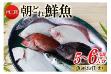 鮮魚 詰め合わせ 朝どれ鮮魚BOX 5～6人前 下処理済み [さかなのみうら 宮城県 南三陸町 30aj0007] 魚 旬 朝とれ 産地直送