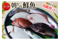 鮮魚 詰め合わせ 朝どれ鮮魚BOX プレミアム 下処理済み [さかなのみうら 宮城県 南三陸町 30aj0008] 魚 旬 朝とれ 産地直送