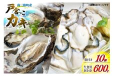 【期間限定発送】牡蠣 生食 南三陸町産 戸倉っこカキ 300g×2本 計600g 殻付き牡蠣 10個 [宮城県漁業協同組合志津川支所 宮城県 南三陸町 30an0003] 生カキ 生食用 剥き身 かき カキ 生ガキ むき身 むき 殻付