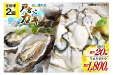 【期間限定発送】2回 定期便 牡蠣 生食 南三陸町産 戸倉っこカキ 300g×3本 計900g 殻付き牡蠣 10個 [宮城県漁業協同組合志津川支所 宮城県 南三陸町 30an0005] 生カキ 生食用 剥き身 かき カキ 生ガキ むき身 むき 殻付