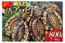 海鮮 訳あり 三陸産 活アワビ 800g (7～8個) [マルヤ五洋水産 宮城県 南三陸町 30al0006] 魚介類 あわび 鮑 天然 蝦夷あわび 貝 冷蔵 刺身 刺し身 活き ステーキ