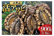 海鮮 魚介 三陸 天然 活 アワビ Lサイズ 900g(5～6個入) [マルヤ五洋水産 宮城県 南三陸町 30al0009] 魚介類 あわび 鮑 天然 蝦夷あわび 貝 冷蔵 刺身 刺し身 活き ステーキ