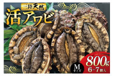 海鮮 魚介 三陸 天然 活 アワビ Mサイズ 800g(6～7個入) [マルヤ五洋水産 宮城県 南三陸町 30al0010] 魚介類 あわび 鮑 天然 蝦夷あわび 貝 冷蔵 刺身 刺し身 活き ステーキ