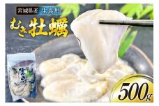 【期間限定発送】 宮城県産 むき牡蠣 生食用 500g×1p [及新 宮城県 南三陸町 30aw0004] かき カキ 牡蠣 生牡蠣 貝 魚介類 剥き身 むき身 殻なし 冷蔵 新鮮 なべ カキフライ 牡蠣ご飯 濃厚