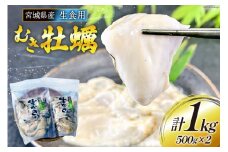 【期間限定発送】 宮城県産 むき牡蠣 生食用 500g×2p 計1kg [及新 宮城県 南三陸町 30aw0005] かき カキ 牡蠣 生牡蠣 貝 魚介類 剥き身 むき身 殻なし 冷蔵 新鮮 なべ カキフライ 牡蠣ご飯 濃厚
