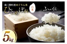 米 南三陸町産 ひとめぼれ めぐりん米 白米 5kg [南三陸さんさんマルシェ 宮城県 南三陸町 30ai0007] お米 ブランド米 ご飯 ごはん コメ こめ 小分け 家庭用