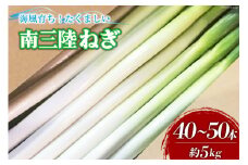 【期間限定発送】野菜 南三陸ねぎ 40～50本 5kg前後 [グリーンファーマーズ・宮城 宮城県 南三陸町 30be0001] ねぎ 長ネギ 長ねぎ 期間限定 