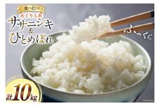 米 めぐりん米 ( 白米 食べ比べ ) ひとめぼれ ササニシキ 各5kg 計10kg [南三陸さんさんマルシェ 宮城県 南三陸町 30ai0065] こめ コメ お米 おこめ ご飯 家庭用 弁当