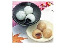 だまこ餅・秋田みのり餅詰合せ 48個入り 2種類 食べ比べ
