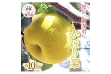 【数量・期間限定】幻の梨 「かほり梨」［2025年10月上旬から出荷予定］ 10kg 秋田県 能代市 香り 梨 大玉 フルーツ 果物 幻 貴重 希少