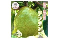 【数量・期間限定】洋梨の女王「ラフランス」 5kg ［2025年11月中旬から出荷予定］秋田県 能代市 ラフランス 洋梨 フルーツ 果物 大玉