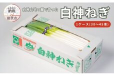 【8月～翌2月限定出荷】白神山地の麓で育った 白神ねぎ 産地直送 鍋物に最適！