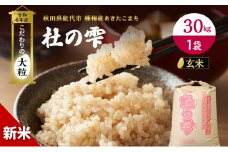 新米 米 お米 【玄米】秋田県産 あきたこまち 30kg×1袋 あきた種梅産こまち 杜の雫 こだわりの大粒 令和6年産