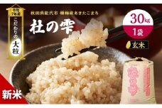 令和7年産 新米 玄米 秋田 あきたこまち 杜の雫 30kg 1袋 秋田県産 米 お米 こだわりの大粒 種梅産 ご飯 ブランド米 大粒 おにぎり 産地直送 送料無料 おこめ ごはん 秋田県