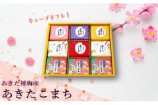 白米 無洗米 セット あきたこまち 『300gキューブ』 ギフトセット 300g×9個（箱入り）秋田県産