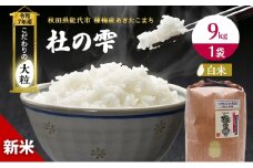 米 秋田 あきたこまち 杜の雫 9kg 1袋 秋田県産 お米 こだわりの大粒 種梅産 白米 精米 ご飯 ブランド米 大粒 おにぎり 令和7年産 新米 産地直送 送料無料 おこめ ごはん 秋田県