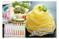 能代うどん 和風パスタ 食べ比べ 乾麺 2種 詰合せ 「しらかみ美人」「ノシロチーネ」各5束 セット